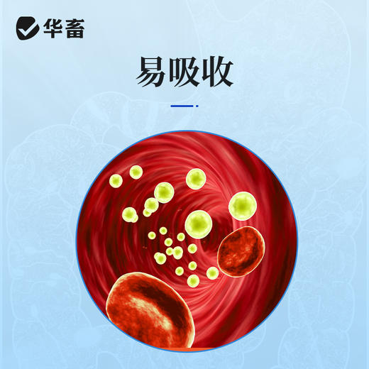 华畜25%维生素C可溶性粉 预防应激 提升免疫力 进口溶剂 吸收更好 禽兽水产用 商品图2