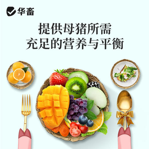 【整吨更优惠】华畜4%妊娠母猪预混料 补充营养防止便秘 商品图1