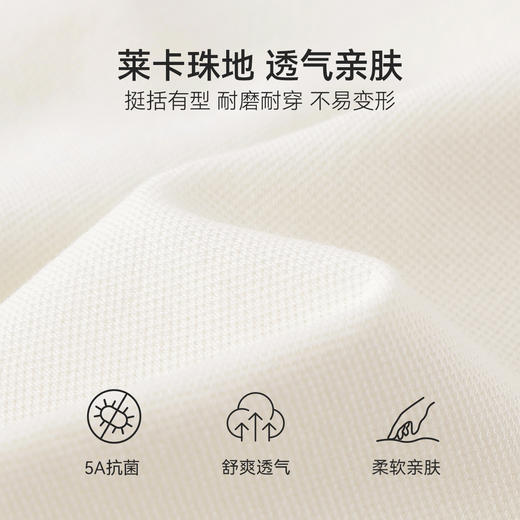 【英氏】【120-170】女童春秋长袖POLO衫 商品图7