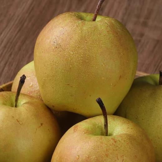 【新鲜采摘❗️鲜嫩清甜】山西玉露香梨水果果园直发10斤现摘梨子水果酥新鲜水果。jc 商品图1
