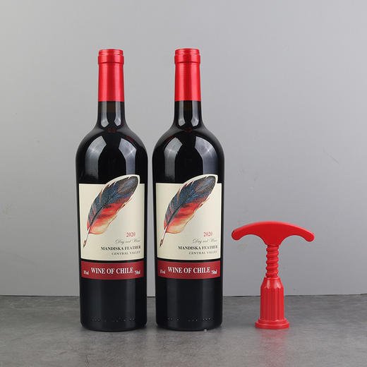 智利原酒进口—曼迪斯卡羽毛干红 中央山谷产区赤霞珠老藤葡萄树果香浓郁 木桶陈酿酒体醇厚 14度微醺香气持久 商品图2