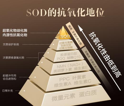 ⁵近效清仓6.9元/盒【刺梨粉】一盒5条，效期26年11月 YY05-QTT-AXK 商品图3