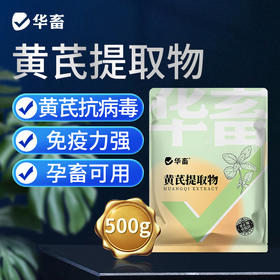 华畜黄芪多糖500g 抗病利尿、排毒消肿、补气益血，高含量 高浓度 大包装