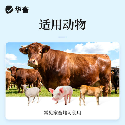 华畜兽药 400万注射用青霉素钠2.4g*20支 抗菌消炎 广谱药 商品图2
