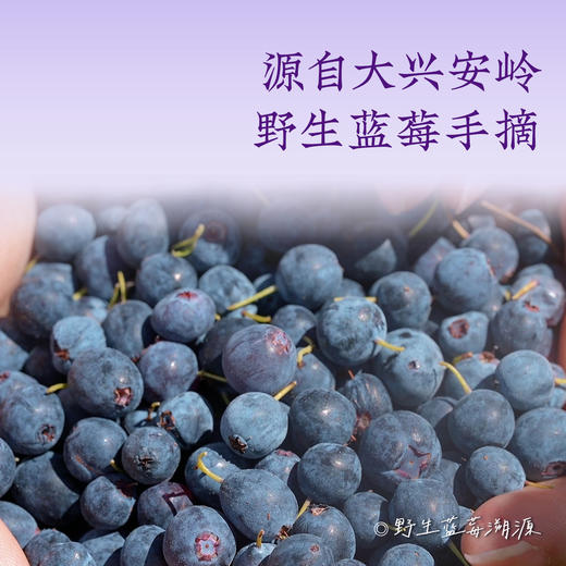 全食物日记有机蓝莓酒 500mL/瓶 甜型 酒精度10%vol 商品图1