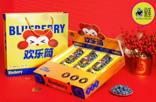 Mg基地～喵眼蓝莓云南花香蓝莓欢乐桶（大果18mm+）×6桶 商品图0