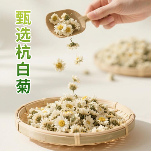 深宝 枸杞菊花茶250mlx24 商品图2