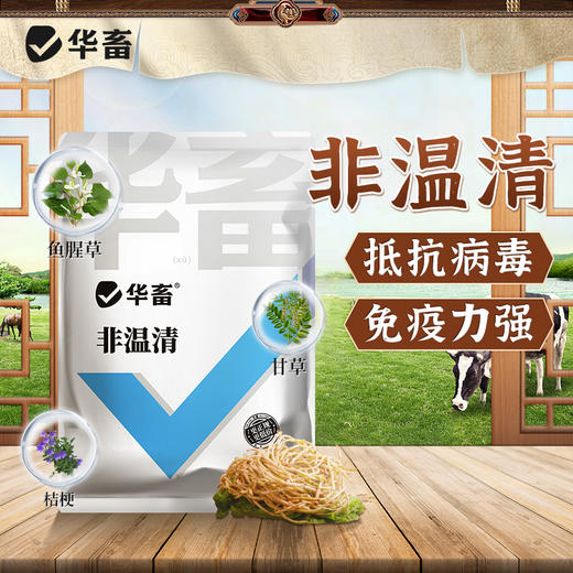华畜非温清猪圆环蓝耳抵抗病毒猪瘟母猪保健用清瘟增强免疫添加剂 商品图0