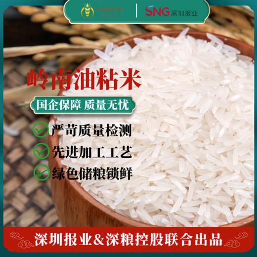 多宝谷坊岭南油粘大米5kg 商品图1