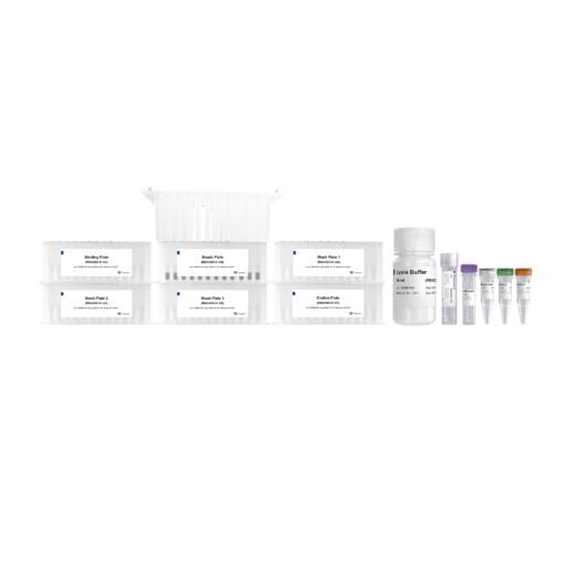 VAMNE Magnetic Cell/Tissue Total RNA Kit 商品图3