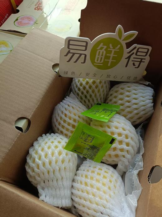 冰淇淋奶油芭乐 低糖低卡路里  2件（净重2.5斤左右/件） 商品图5