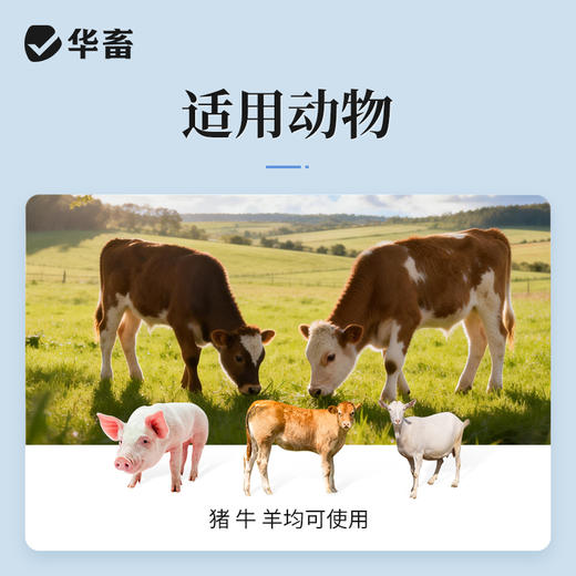 华畜恩诺沙星注射液10ml*10支 拉稀痢疾黄白痢肺炎咳喘 猪牛羊用 商品图2