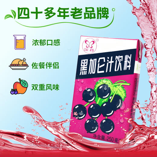 深宝 黑加仑汁 250mlx24 商品图4