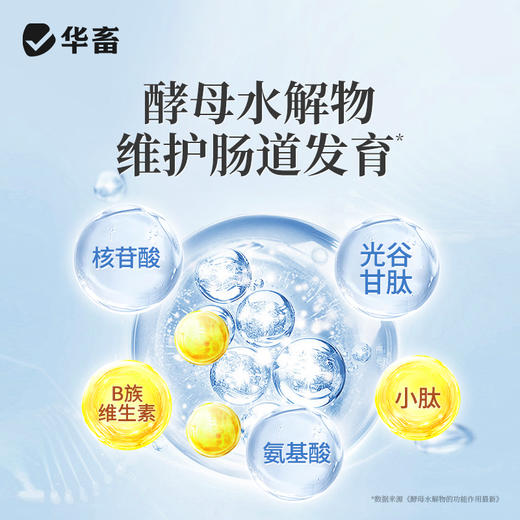 华畜益生菌+复合酶500g 调理肠道促进吸收提高饲料转化率 降低氨气 商品图2