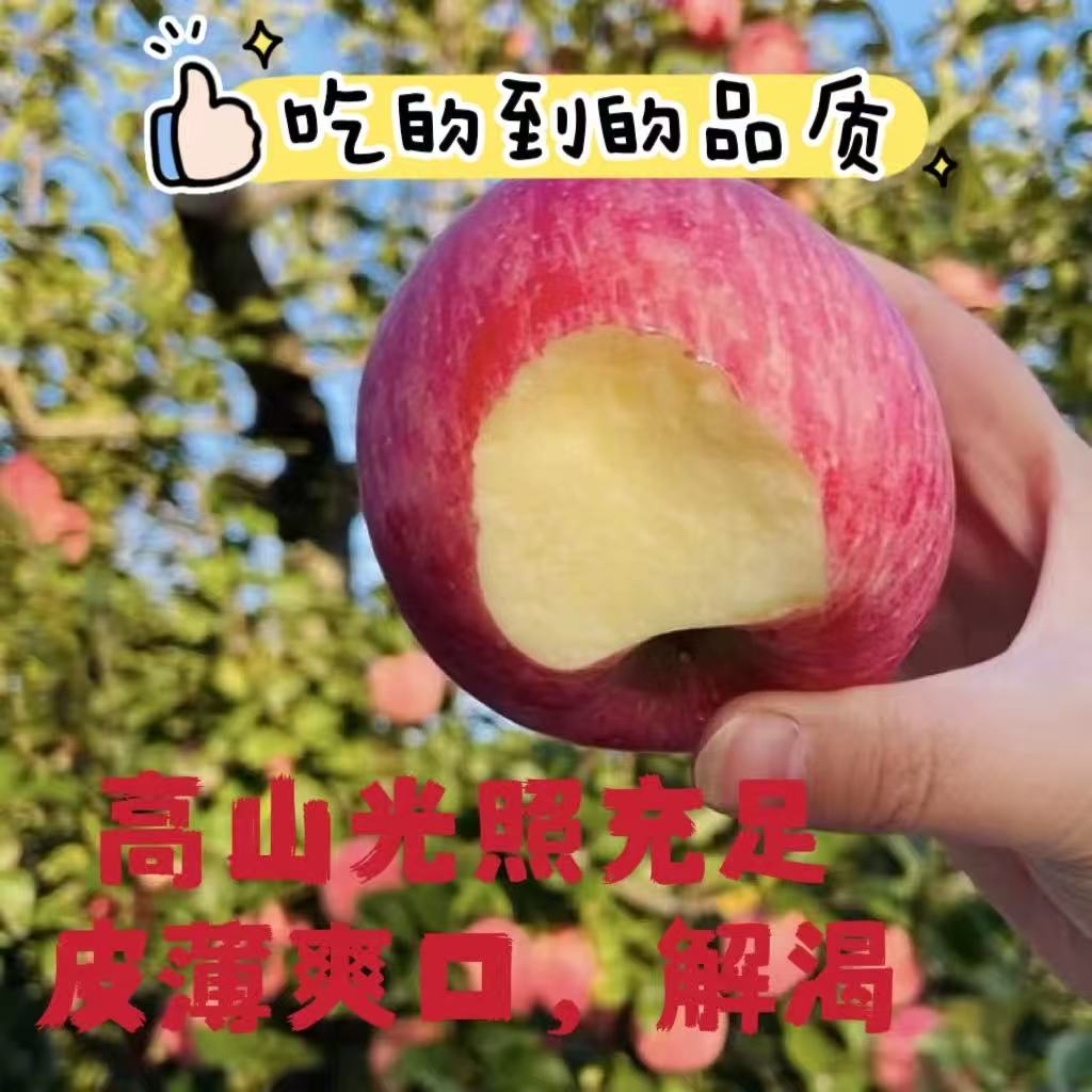 【自营】陇原特产甘肃静宁苹果 昼夜温差积累糖 脆嫩无渣好口感