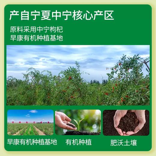 【益品良食】早康有机鲜枸杞原浆210ml宁夏中宁枸杞直接喝鲜枸杞汁液 商品图2