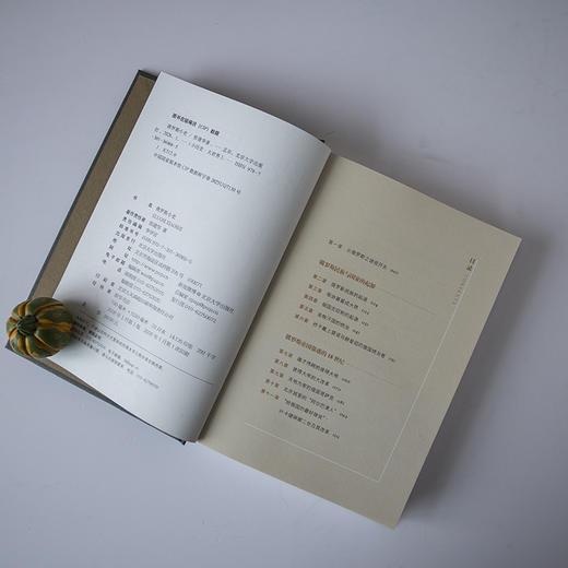 俄罗斯小史 张建华 著 北京大学出版社 小历史·大世界 商品图4