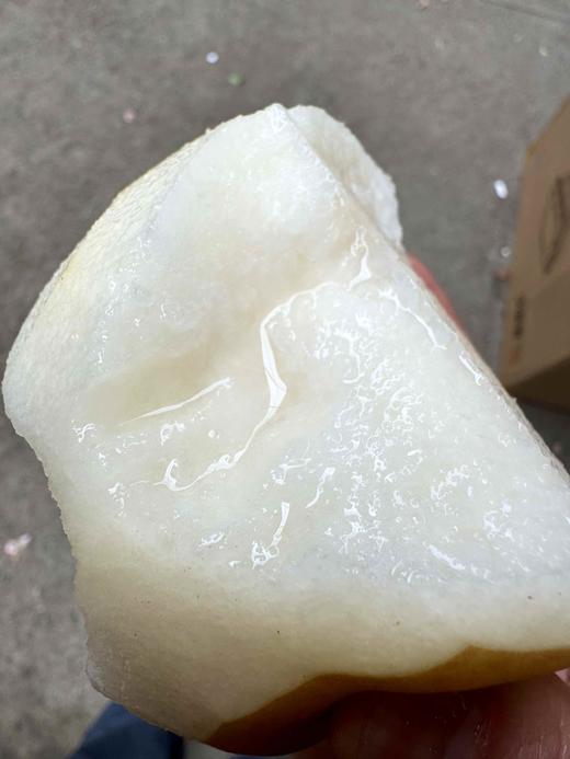 晚熟秋月，果肉细嫩，甘甜化渣，脆爽多汁，润肺清火化痰 商品图1