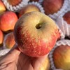 大凉山福布瑞斯苹果【净重约5斤】～我很丑，但是我有甜蜜的温柔~因为生态种植，所以表皮斑斑点点，但我是个有真正苹果味儿的苹果，洗完马上一股清甜的苹果香扑鼻而来，果皮薄，口感脆爽，香甜多汁。 商品缩略图5