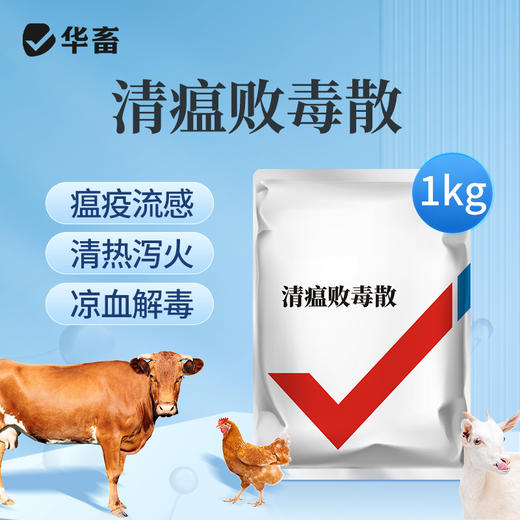 华畜清瘟败毒散1kg 瘟疫流感 清热泻火 严选中药材 效果好 禽畜通用呼吸道药 商品图0