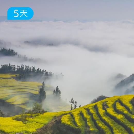 第一届 云南罗平花季户外节 春季爆款 | 昆明集散 5天4晚轻户外慢旅行  | 罗平油菜花 × 抚仙湖骑行 × 弥勒温泉 商品图3