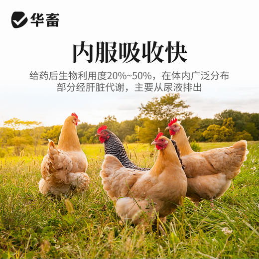 华畜兽药 盐酸林可霉素可溶性粉 采用进口助溶剂 吸收更好 药效更强 商品图3