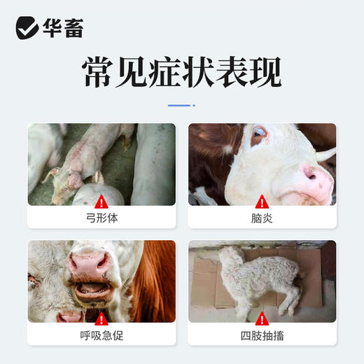 华畜磺胺嘧啶钠注射液10ml*10支 弓形体 脑炎形链球菌 呼吸急促 猪副伤寒 畜用 商品图1