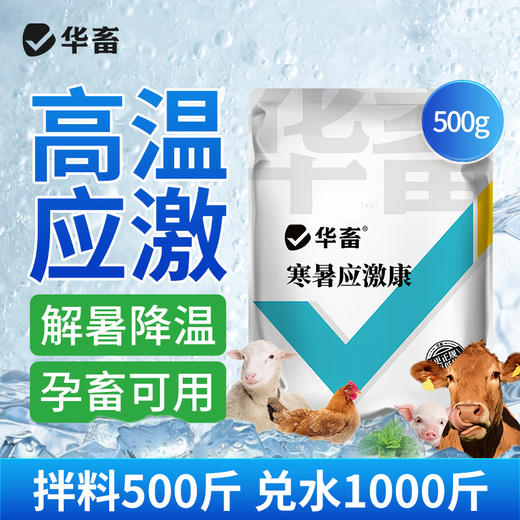 华畜 寒暑应激康1斤 高温应激 解暑降温 孕畜可用 商品图0