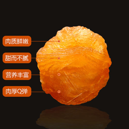 深粮多喜 桂圆肉458g 商品图1