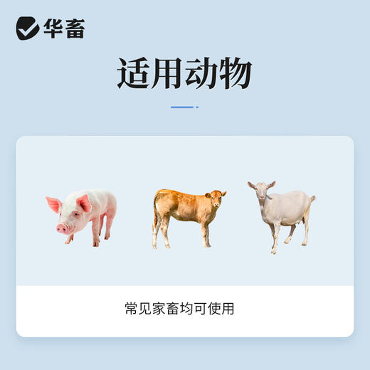 华畜硫酸庆大霉素注射液10支 败血症呼吸道感染 用于革兰氏阴性和阳性细菌感染 商品图3