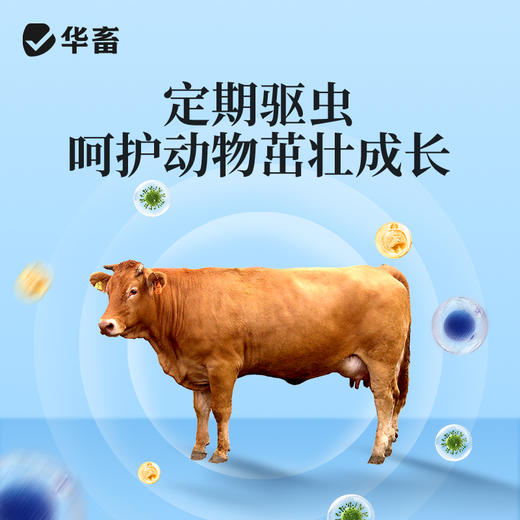 华畜 0.2g高含量吡喹酮片50片/瓶 肝脑清 驱虫促长 防治脑包虫 动物血吸虫病 用于治多种虫类 商品图3
