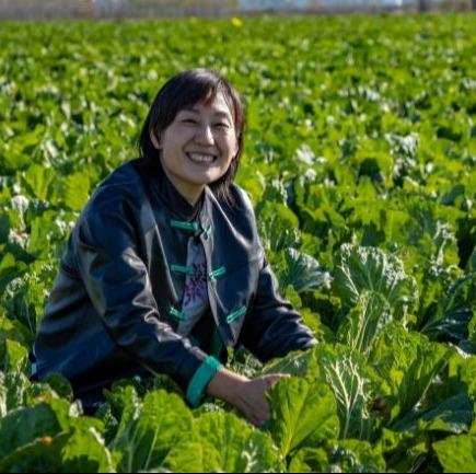 丨有机丨青岛胶州大白菜 生食甘甜清脆 熟食风味甘美  地理标志 商品图7