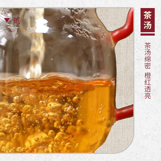 【山纯限品】2026年044燕子窠肉桂17g 商品图3