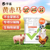 华畜 黄赤马 不含蒙脱石 专项分解酶 生物降解菌 商品缩略图0
