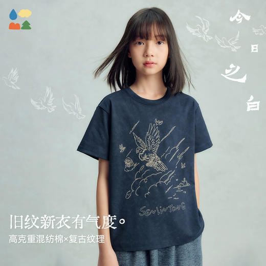 【今日之白系列】森林棠26新款高克重儿童复古绣花圆领短袖T恤40162318 商品图1