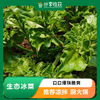 生态冰菜 | 爆珠脆爽 | 石嫣农场 * Crystalline Ice Plant | Self-Produced 商品缩略图0