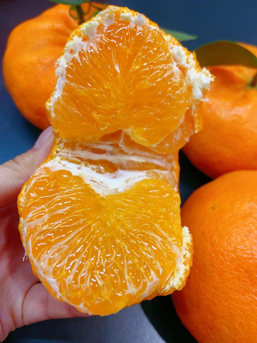 特级超大甘平柑橘 商品图3
