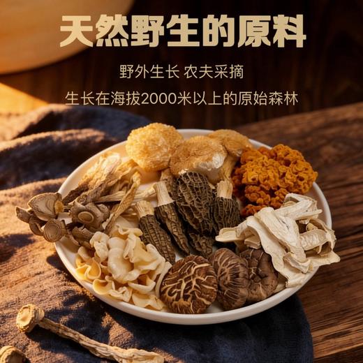 念味思七彩山珍菌菇礼盒 商品图3