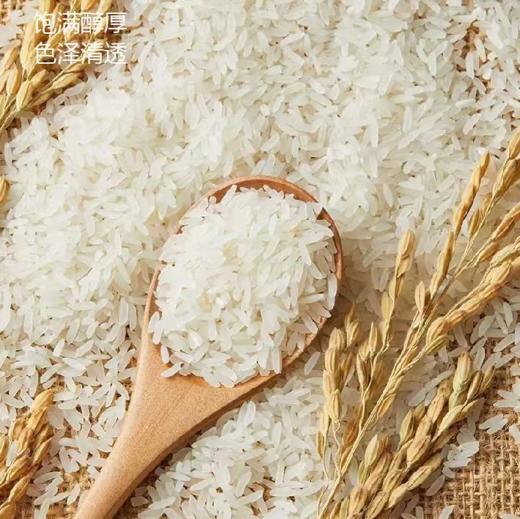 云南曲靖会泽馨润泽长粒香米，多种规格 商品图1