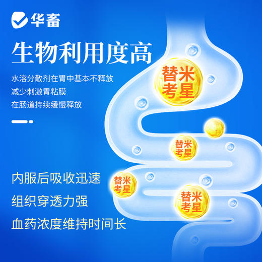 华畜  20%水溶替米考星预混剂100g   链球菌  支原体感染 商品图4