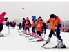 【2026酷游冬令营/滑雪双板基础/进阶滑雪1日营】无滑雪不冬天！跟着专业教练，在家门口滑雪咯！给孩子带来更好的滑雪体验 商品缩略图1