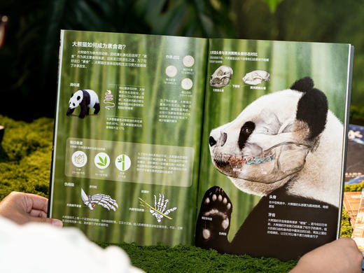 《课本里的图解百科》（8册）|紧扣课本，跨学科联动，1000+知识创意图解，孩子爱读、学得深、记得牢，轻松培养孩子综合思维 商品图6