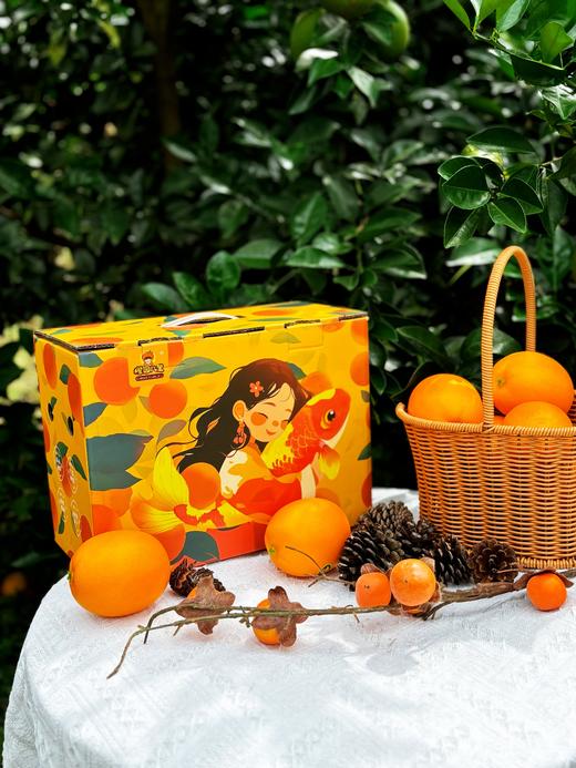 橙园几里赣南脐橙礼盒锦鲤女孩手提款 商品图1