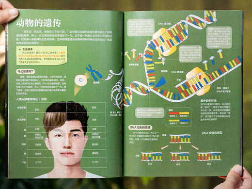 《课本里的图解百科》（8册）|紧扣课本，跨学科联动，1000+知识创意图解，孩子爱读、学得深、记得牢，轻松培养孩子综合思维 商品图10