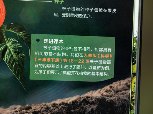 《课本里的图解百科》（8册）|紧扣课本，跨学科联动，1000+知识创意图解，孩子爱读、学得深、记得牢，轻松培养孩子综合思维 商品图4