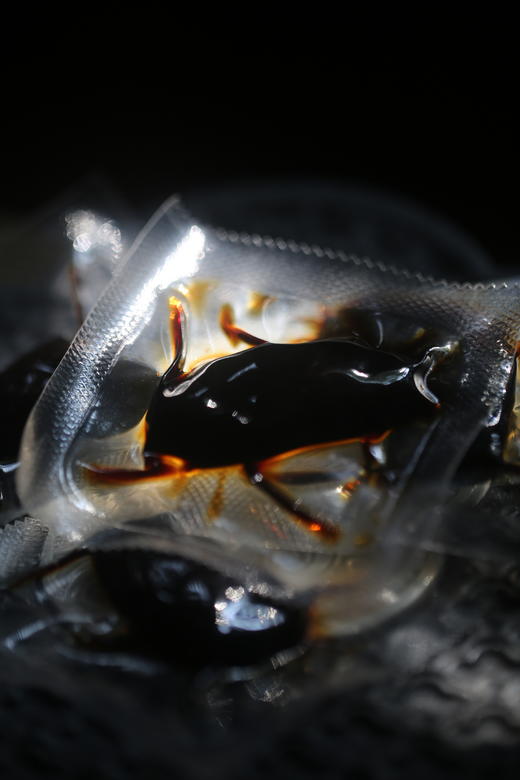 云南秘境 九蒸九晒 | 勐普甘露•黄精果（2026） 商品图3