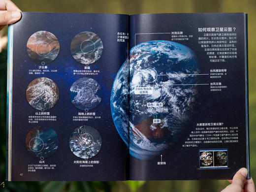 《课本里的图解百科》（8册）|紧扣课本，跨学科联动，1000+知识创意图解，孩子爱读、学得深、记得牢，轻松培养孩子综合思维 商品图8