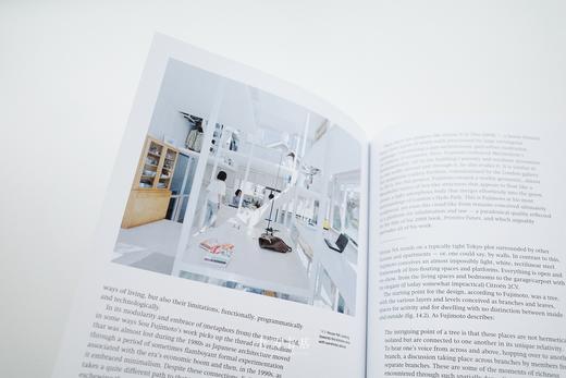 耶鲁原版 | 帕拉迪奥、赖特、柯布、巴拉干、藤本壮介等：21座改变建筑未来的宣言式住宅 The Manifesto House 商品图6