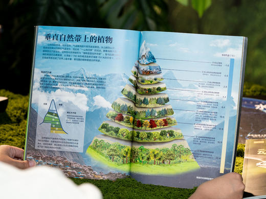 《课本里的图解百科》（8册）|紧扣课本，跨学科联动，1000+知识创意图解，孩子爱读、学得深、记得牢，轻松培养孩子综合思维 商品图5