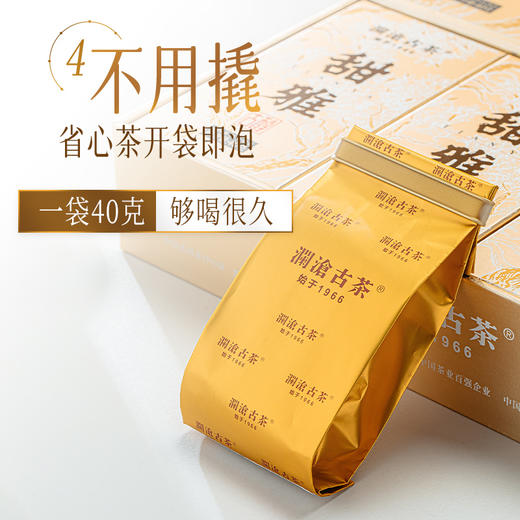 澜沧古茶2024年古醇·甜雅名山古树熟茶散茶40g 商品图4